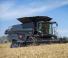 कंबाइन हार्वेस्टर Massey Ferguson Ideal 9 T