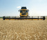 कंबाइन हार्वेस्टर अटैचमेंट कंबाइन हार्वेस्टर कटरबार New Holland 720CG 13FT