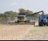 कंबाइन हार्वेस्टर अटैचमेंट कंबाइन हार्वेस्टर कटरबार New Holland 720CG 15FT