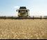 कंबाइन हार्वेस्टर अटैचमेंट कंबाइन हार्वेस्टर कटरबार New Holland 720CG 24FT