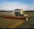 कंबाइन हार्वेस्टर Claas Lexion 6700 TerraTrac 