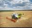 कंबाइन हार्वेस्टर Claas Lexion 6800 