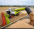 कंबाइन हार्वेस्टर Claas Lexion 6900 