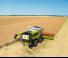 कंबाइन हार्वेस्टर Claas Lexion 6900 TerraTrac 
