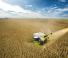 कंबाइन हार्वेस्टर Claas Lexion 7600 TerraTrac 