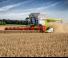 कंबाइन हार्वेस्टर Claas Lexion 7700 