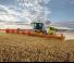 कंबाइन हार्वेस्टर Claas Lexion 7700 