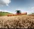 कंबाइन हार्वेस्टर Claas Lexion 8500 Terra Trac  