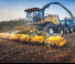 New Holland 60BFI 8R B Disc Stalk  