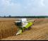 कंबाइन हार्वेस्टर Claas Tucano 550