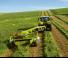 कंडीशनर के साथ ट्रेल्ड मोवर डिस्क Claas Disco 3200 TC AS Contour