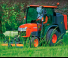 वाहन कॉम्पैक्ट यूटिलिटी ट्रैक्टर Kubota ST341-C