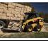 स्किड स्टीयर लोडर Caterpillar 246D