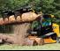 स्किड स्टीयर लोडर JCB 300T