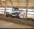 स्किड स्टीयर लोडर Bobcat S590