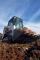 स्किड स्टीयर लोडर Bobcat T110
