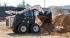स्किड स्टीयर लोडर Terex TSV 60