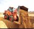 व्हील लोडर Doosan DL250-5