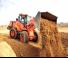 व्हील लोडर Doosan DL250 TC 5