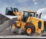 व्हील लोडर Hyundai HL955XT