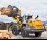 व्हील लोडर Liebherr L 566 XPower