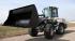 व्हील लोडर Terex TL 80
