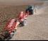 प्लाउ Kuhn Vari-Challenger 7 NSH