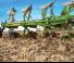 प्लाउ Amazone Cayros XMS 4-850 VS