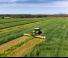 रियर-माउंटेड मोवर - बिना कंडीशनर के डिस्क Claas Disco 9300 Direct Swather