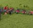 रोटरी टेडर Massey Ferguson TD1028X TRC