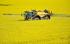 सेल्फ-प्रोपेल्ड फील्ड स्प्रेयर Challenger RoGator 655