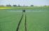 सेल्फ-प्रोपेल्ड फील्ड स्प्रेयर Challenger RoGator 655