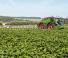 सेल्फ-प्रोपेल्ड फील्ड स्प्रेयर Fendt Rogator 655
