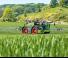सेल्फ-प्रोपेल्ड फील्ड स्प्रेयर Fendt Rogator 665 