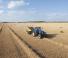 स्क्वायर बेलर New Holland BB 1290 S
