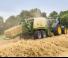 स्क्वायर बेलर Krone Big Pack 870 HDP XC
