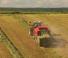 स्क्वायर बेलर Massey Ferguson MF 2190 TC