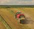 स्क्वायर बेलर Massey Ferguson MF 2190 TP