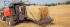 स्क्वायर बेलर Massey Ferguson MF 2270XDTP