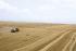 स्क्वायर बेलर Claas Quadrant 3400 RC