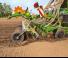 सोइंग मशीन Amazone Cirrus 3003 Compact RoTeC