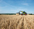 टेलीहैंडलर Claas Scorpion 736 