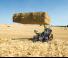 टेलीहैंडलर Claas Scorpion 738