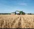 टेलीहैंडलर Claas Scorpion 756