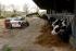 टेलीहैंडलर Bobcat T 2566