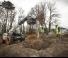 टेलीहैंडलर Bobcat T36.120SL 75 IV