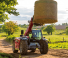 टेलीहैंडलर Massey Ferguson TH.7030