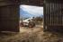 टेलीहैंडलर Bobcat TL470HF IIIB