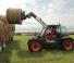 टेलीहैंडलर Bobcat TL30.60 AGRI Low Cab 100 IV