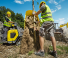 ट्रैक्ड डंपर Wacker Neuson DT10